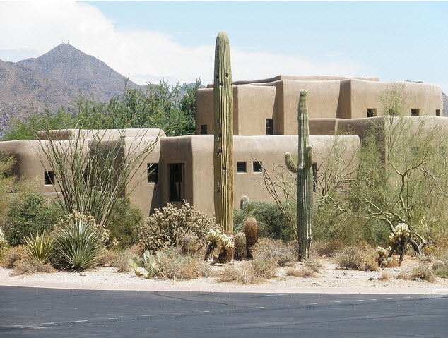 DAS Faux Cactus